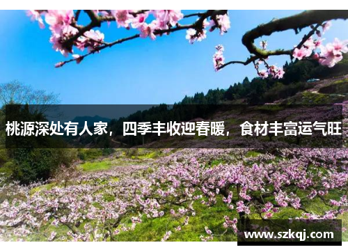 桃源深处有人家，四季丰收迎春暖，食材丰富运气旺